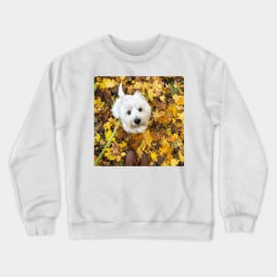 Autumn Crewneck Sweatshirt